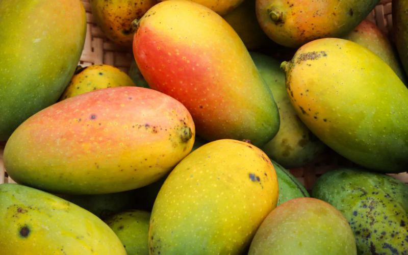 Mango Seed Butter